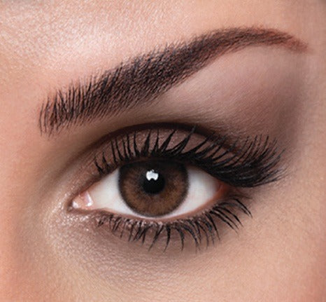 Tri Color, Lacelle, Stylish Brown