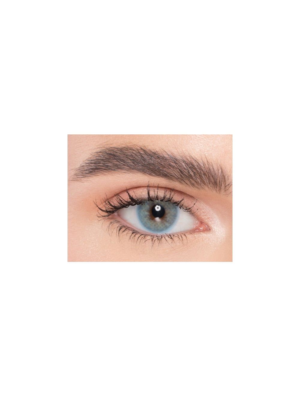 Naturel,Daily, Core Blue