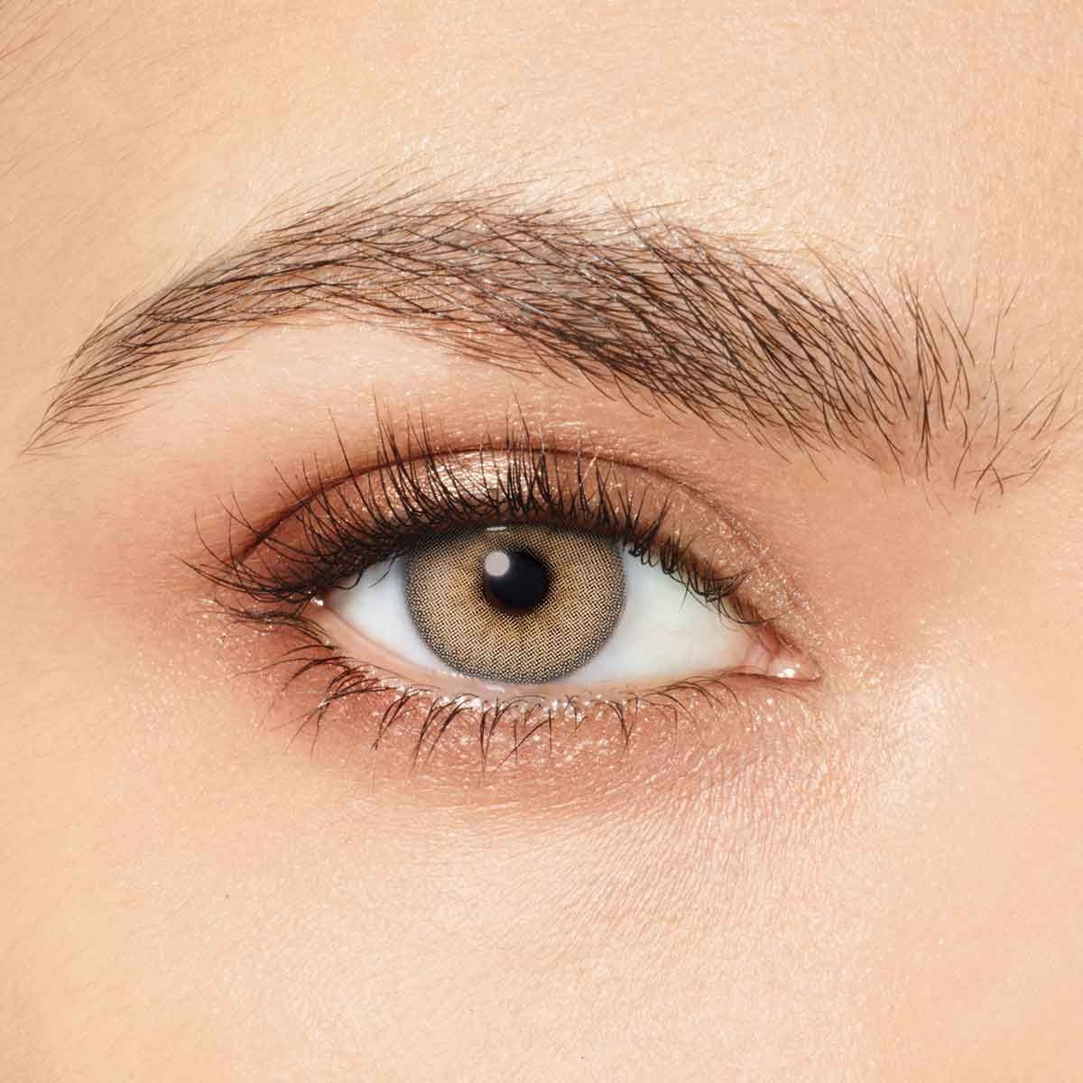 Desio, Attitude,Daily,  Tender Hazel