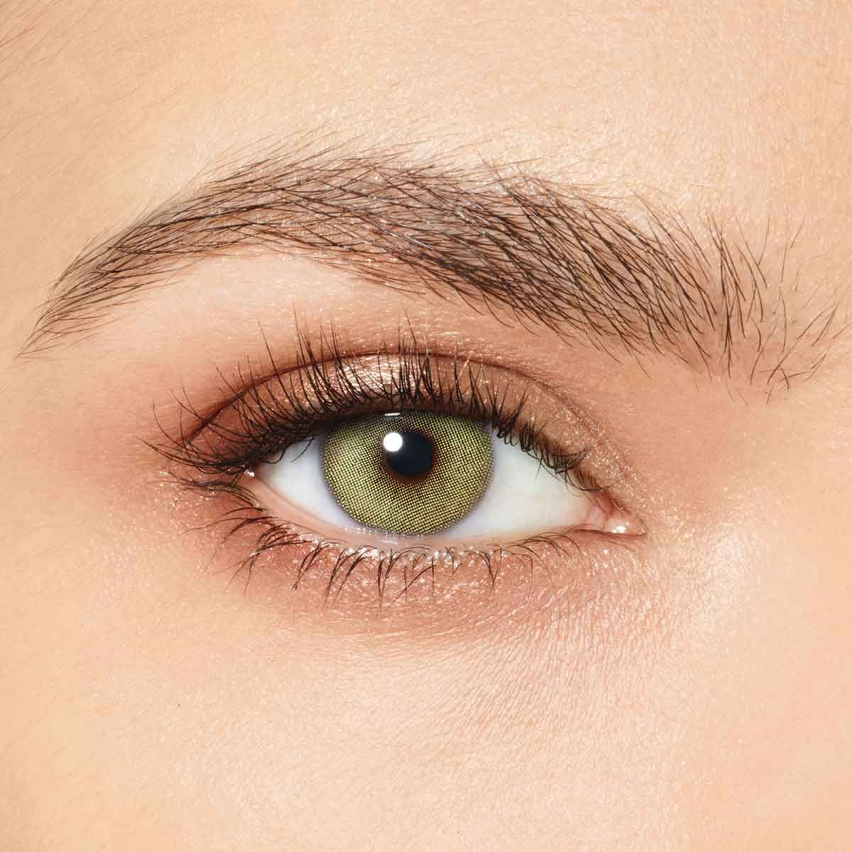 Desio, Attitude,Daily, Wild Green