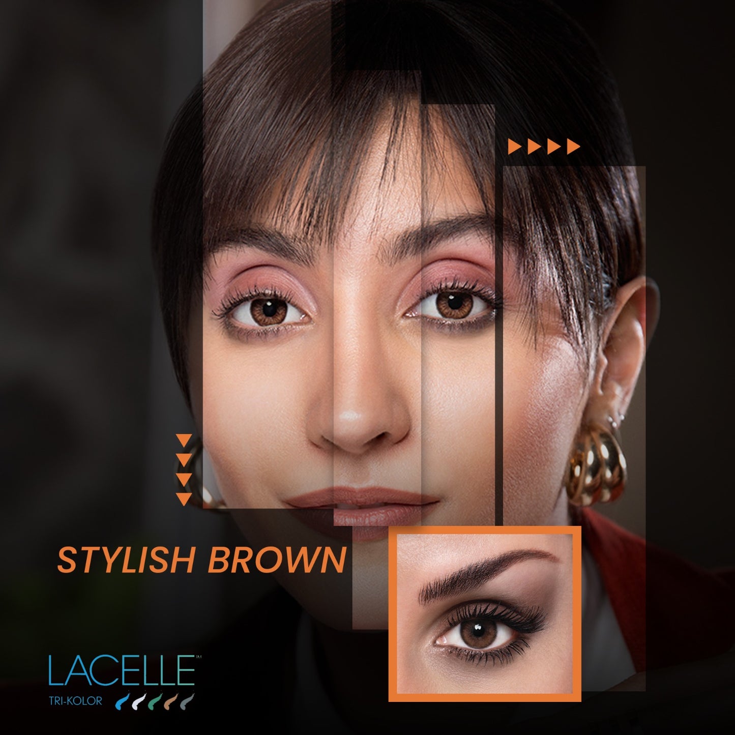 Tri Color, Lacelle, Stylish Brown